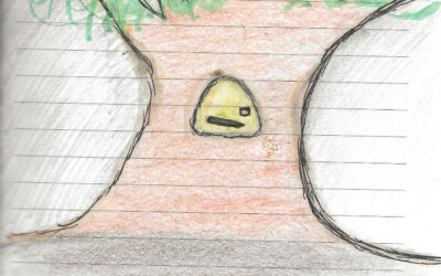 Nicolás en Equilibrio